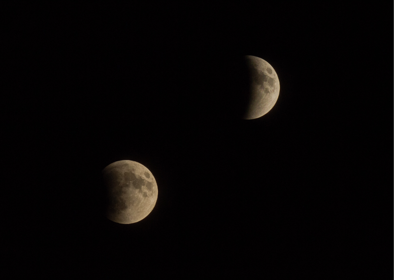 Illustration for article titled 34 Amazing Photos Of The Super Blood Moon